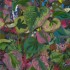 "jardin des plantes 10" Acrylique sur MDF, 60x80 cm, 2017, 2018, Print disponible sur demande