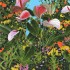 "jardin des plantes 24" Acrylique sur MDF, 60x80 cm, 2017, 2018, Print disponible sur demande