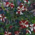 "jardin des plantes 7" Acrylique sur MDF, 60x80 cm, 2017, 2018, Print disponible sur demande