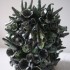 buisson barbotiné , « Strogolythe », céramique émaillée, hauteur 20,5 cm, largeur 20 cm, prix 350 euros. 2020.