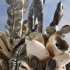 buisson barbotiné , « Calystre », céramique émaillée, hauteur 32 cm, largeur 33 cm, prix 350 euros. 2020.