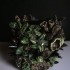 vase barbotiné n°16, céramique émaillée, hauteur 21 cm, largeur 25 cm, prix 350 euros. 2020. Collection La Chig